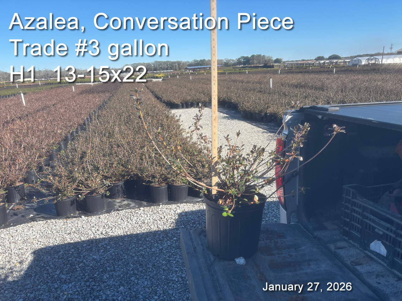 gallery/cp3t h1 jan27.jpg